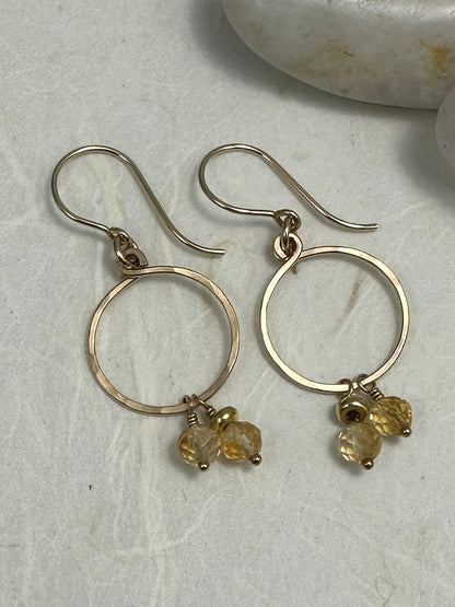 Keeper Gold Gemstone Earrings - Cloverleaf Jewelry