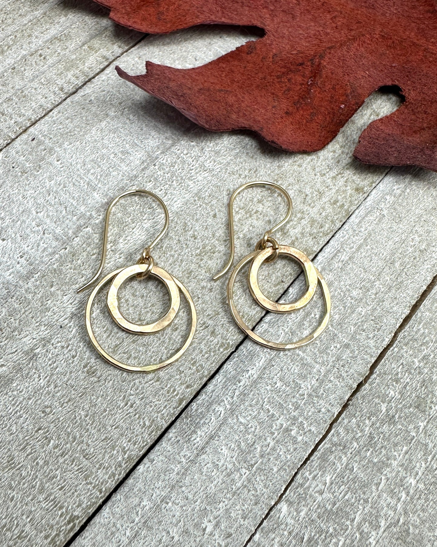 Joy Gold Double Circle Earrings